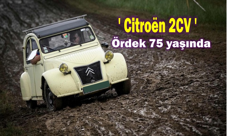 Citroen-2CV