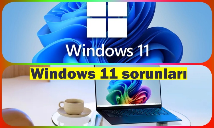 Windows 11 sorunları, Kullanıcılar 8,63 GB alanı boşaltamıyor